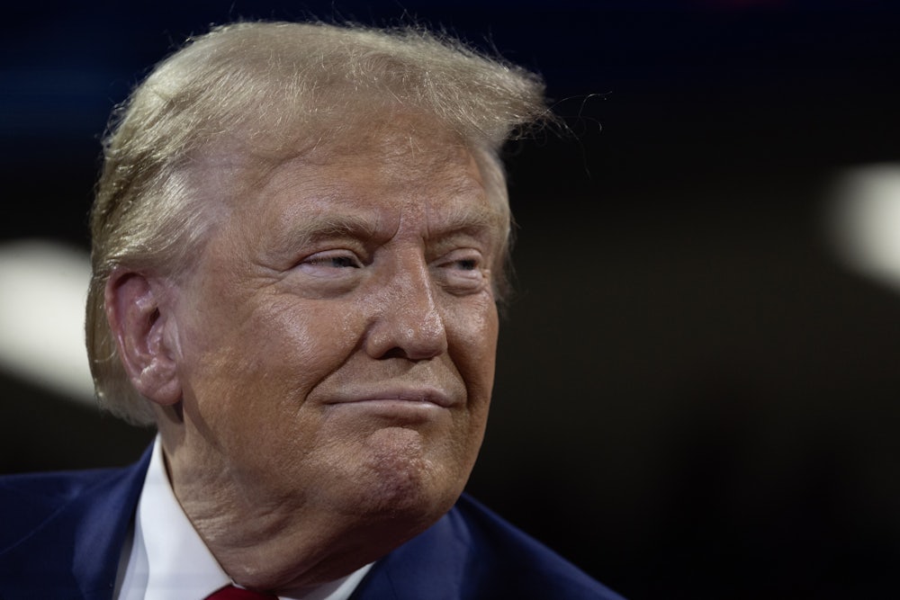 Donald Trump smirks