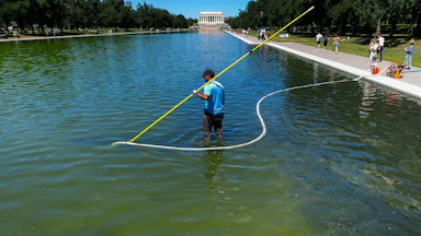 A National Park Service employee uses a vaccuum pump to try to clean algae off the bottom of the Lincoln Memorial Reflecting Pool, which looos completely green.