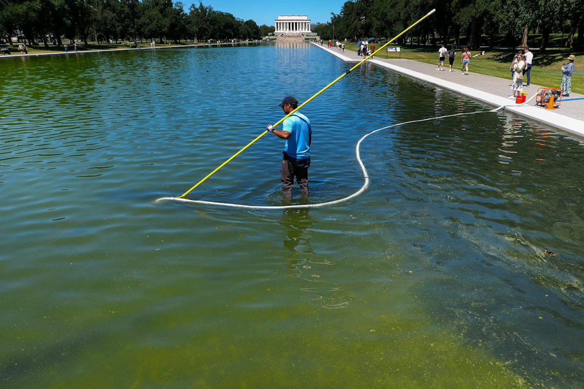 Utterly Absurd Contractor Behind Reflecting Pool Renovation Disaster Utterly Absurd Contractor Behind Reflecting Pool Renovation Disaster