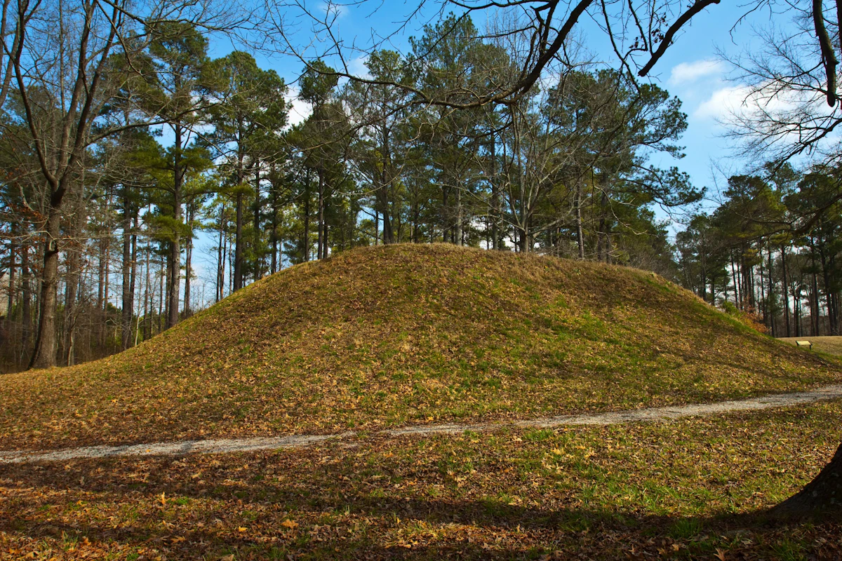 Two Men’s Bodies Found Hanging From Trees on the Same Day Two Men’s Bodies Found Hanging From Trees on the Same Day