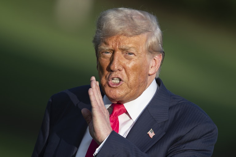 Donald Trump holds his hand next to his mouth while speaking to reporters outside the White House