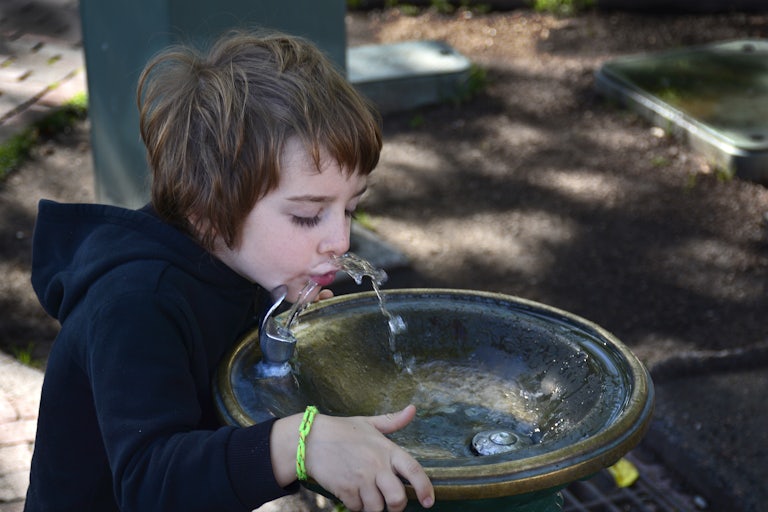 A child drinks out of a public water fountain.