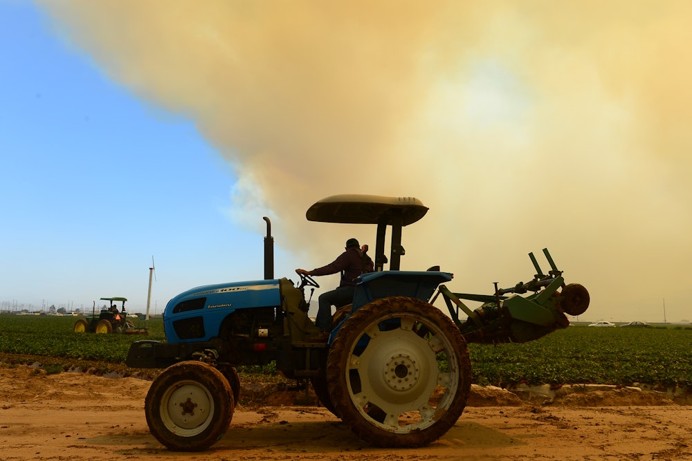 Farmers drive their tractors near a field.