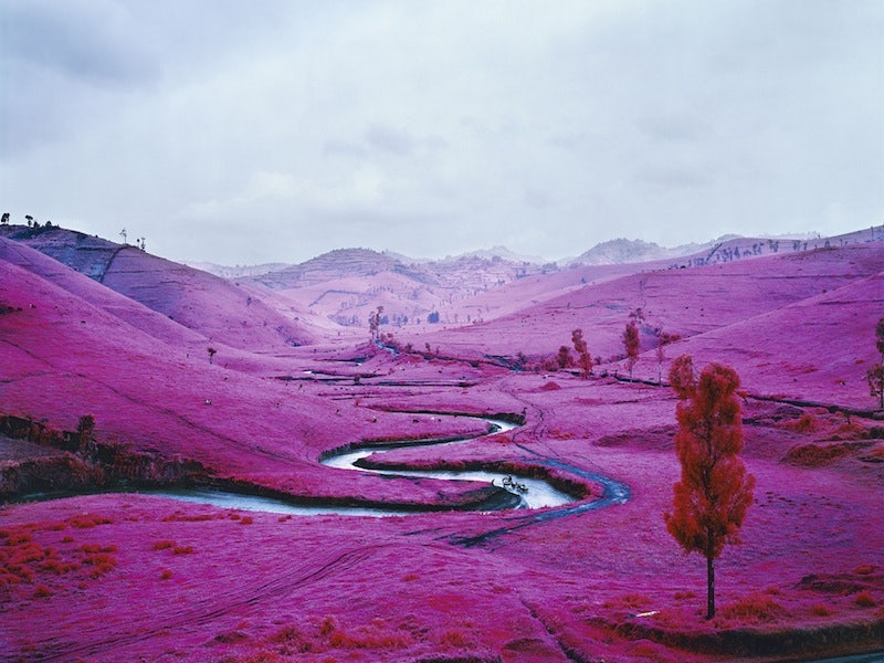 Richard Mosse