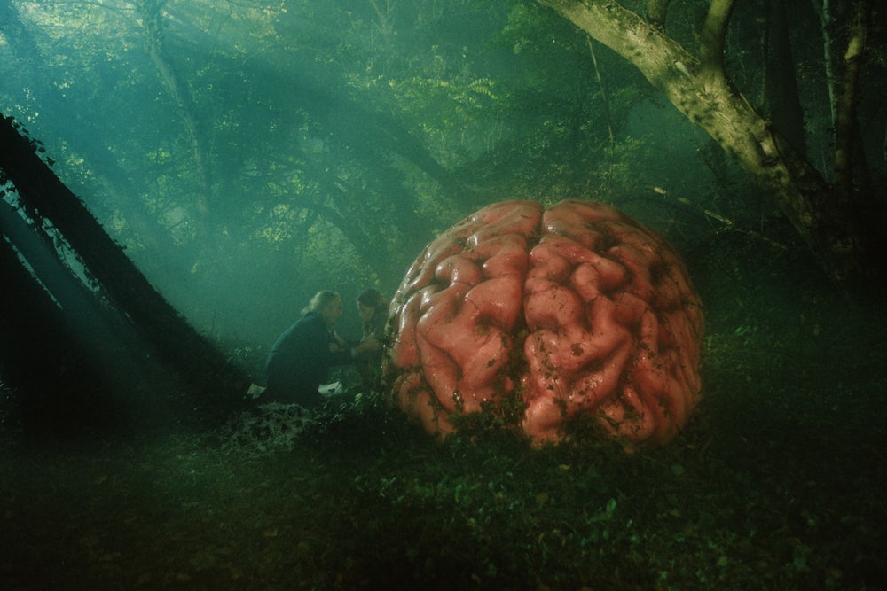 An image from the movie RUMOURS of actors Roy Dupuis and Alicia Vikander