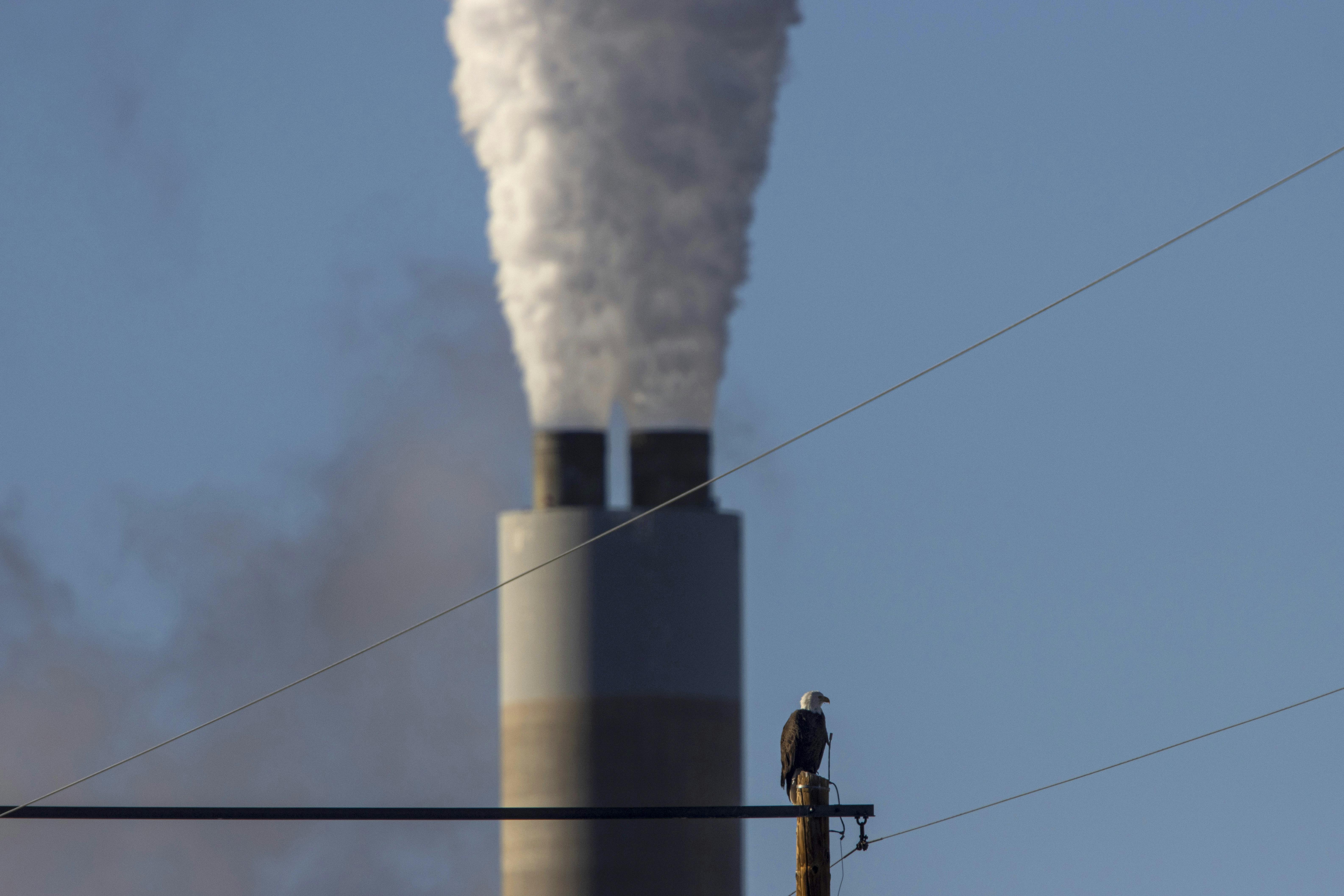 A bald eagle sits on a pole in front of a smokestack.