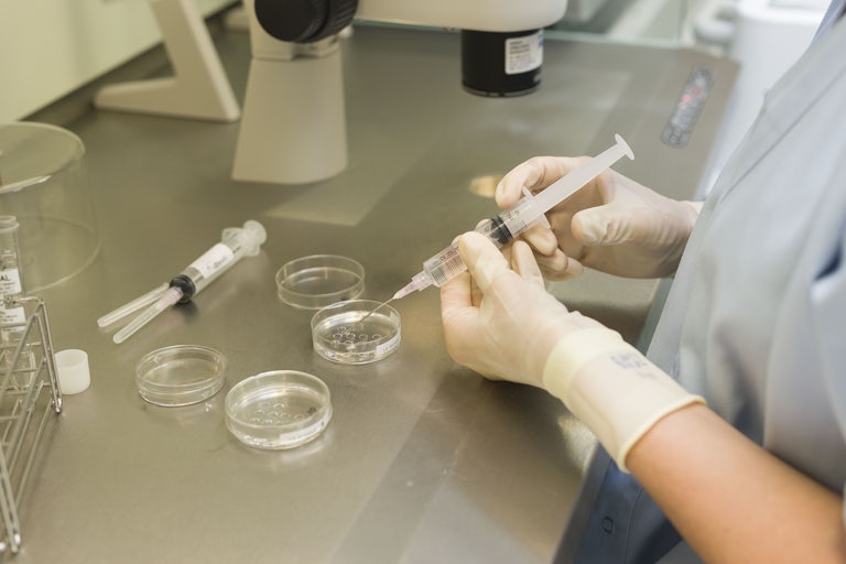 A person uses a syringe to pick up embryos from a Petri dish