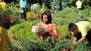 Michelle Obama holds a basket while sitting among pepper plants, with others in the background.