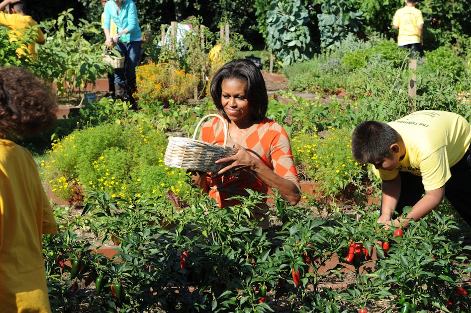 newrepublic.com - Jane Black - Food Used to Be Democrats' Territory. What Happened?