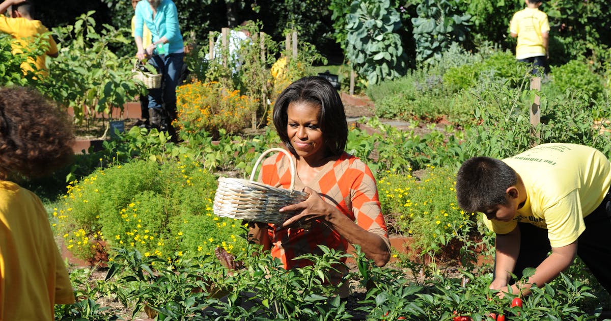 Food Used to Be Democrats’ Territory. What Happened?