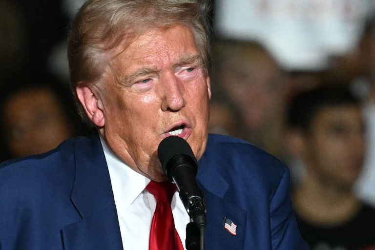 Donald Trump speaks into a microphone at a campaign event