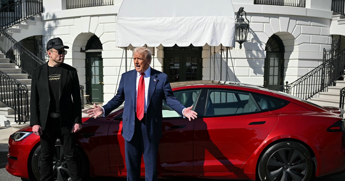 Trump and Musk Are Getting Their Butts Royally Spanked in the Courts