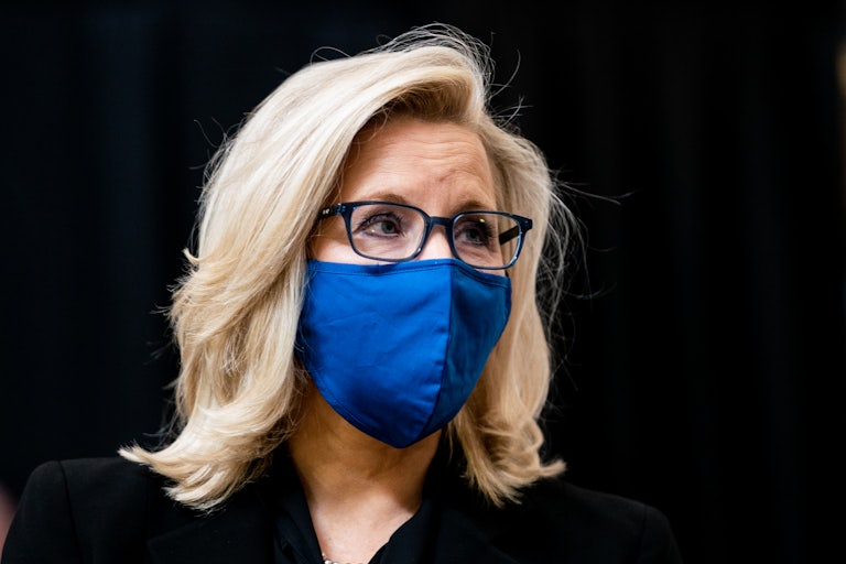 Liz Cheney wearing a blue mask, against a black background 