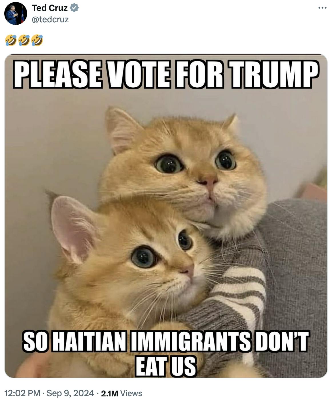 Twitter screenshot Ted Cruz @tedcruz: 🤣🤣🤣 Meme of two cats hugging each other that look scared. Caption reads: Please vote for Trump so Haitian immigrants don't eat us.