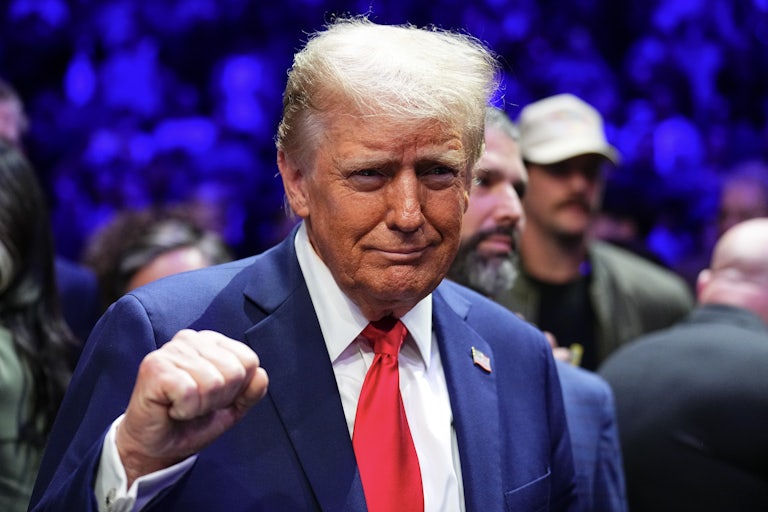 Donald Trump clenches fist with smug expression