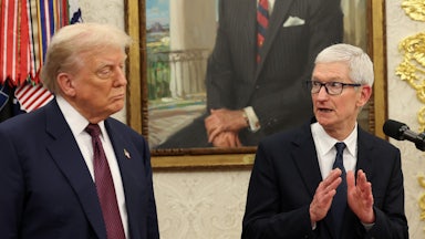 Apple CEO Tim Cook hopes he’s cringing enough in front of Donald Trump to stay on his good side.