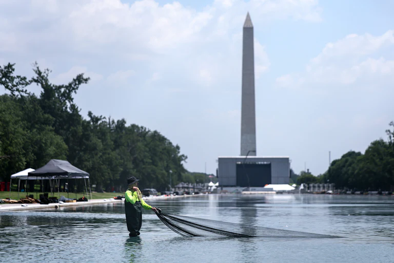 A worker pulls a net through the Reflecting Pool