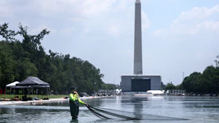 A worker pulls a net through the Reflecting Pool