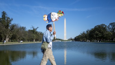 A protester walks past the Reflecting Pool, opposite the Washington Monument, holding up a drawing of Donald Trump that says, "Not a king"