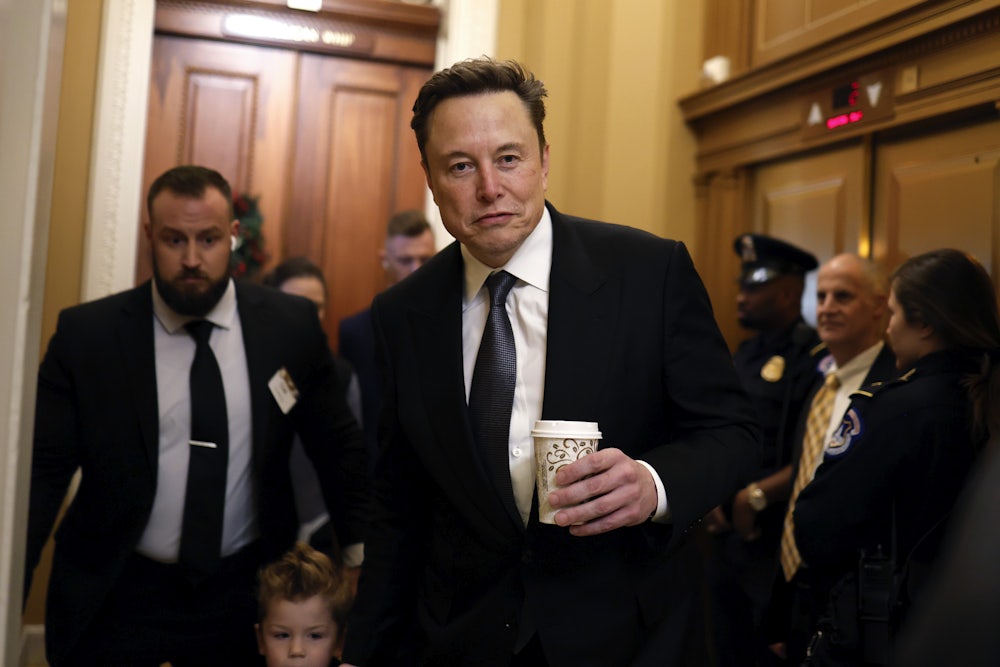 Elon Musk on Capitol Hill