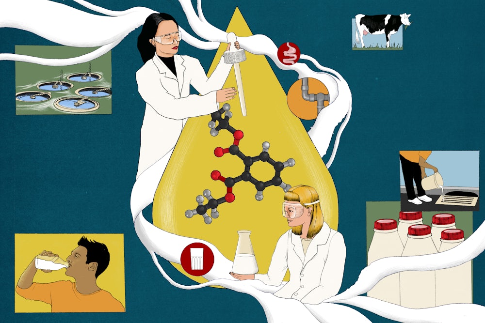 Illustration of scientists detecting forever chemicals in milk.