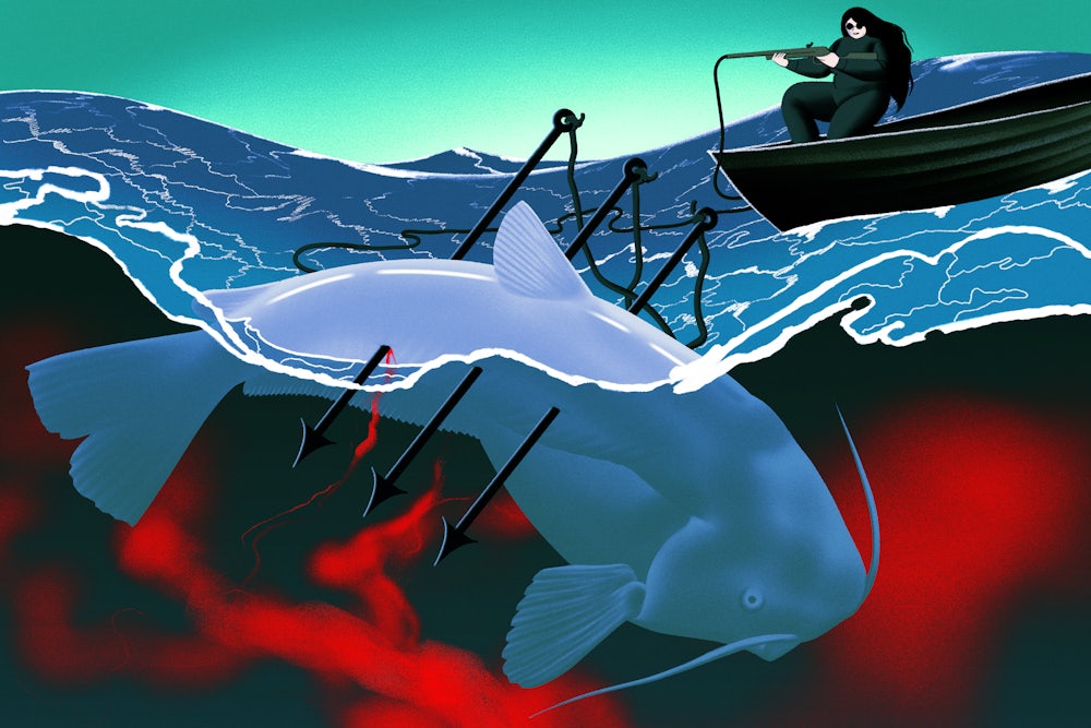 An illustration of a woman “catfishing” with a gun