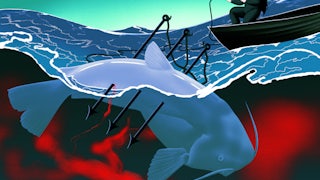 An illustration of a woman “catfishing” with a gun