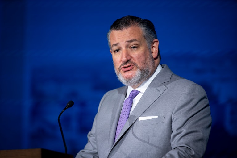 Senator Ted Cruz speaks into a microphone