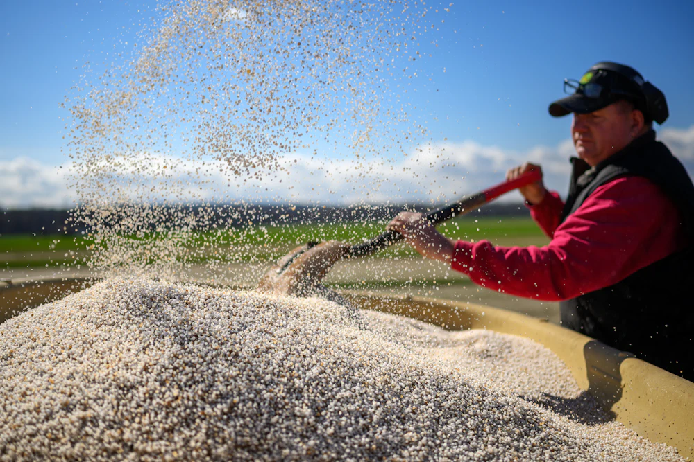Farmer Bill Collins prepares to spread fertilizer