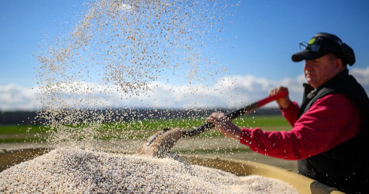 Iran War Spikes US Gas, Diesel and Fertilizer Prices, Squeezing Farmers and Small Businesses