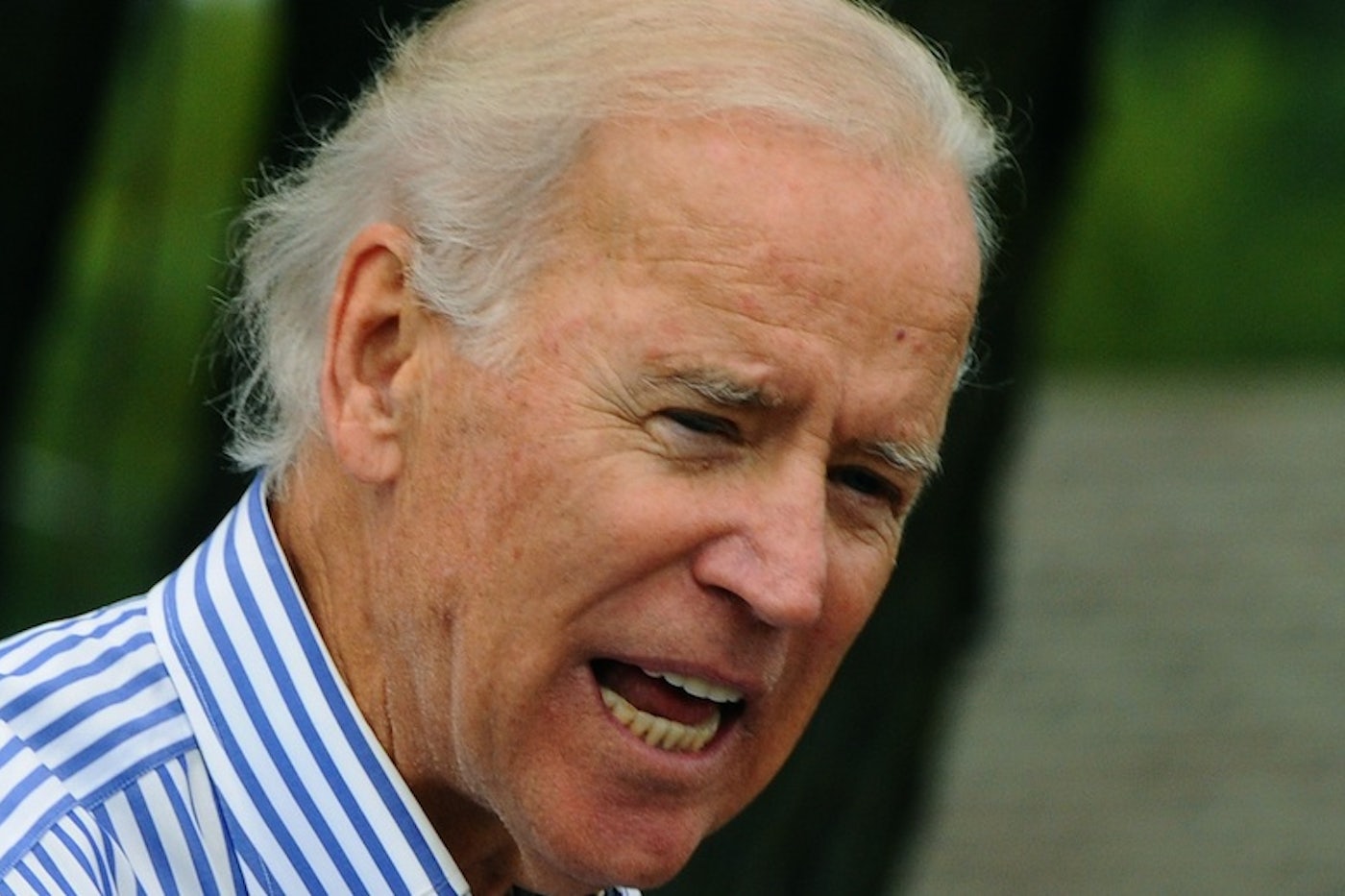 Seriously! 44+  Reasons for  Biden? You've become honorary bidens and there's no way out. Seriously! 44+  Reasons for  Biden? You've become honorary bidens and there's no way out.