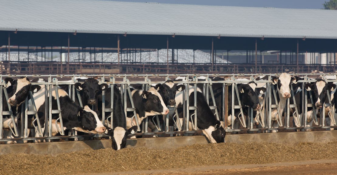 Climate-Smart Farming Is a Lot Harder Than the Inflation Reduction Act Makes It Sound Climate-Smart Farming Is a Lot Harder Than the Inflation Reduction Act Makes It Sound