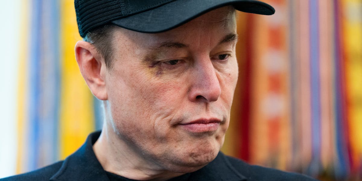 Elon Musk Hits Trump With Nuclear Allegation About Jeffrey Epstein | The New Republic