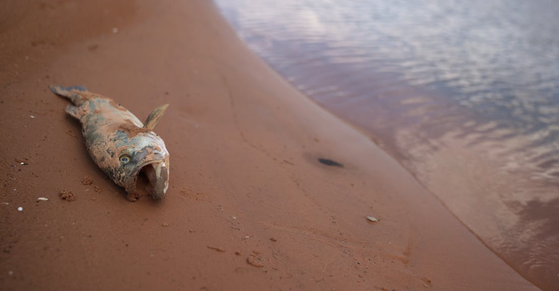 Republicans Respond to World-Historical Drought by Propping Up Fossil Fuels Republicans Respond to World-Historical Drought by Propping Up Fossil Fuels