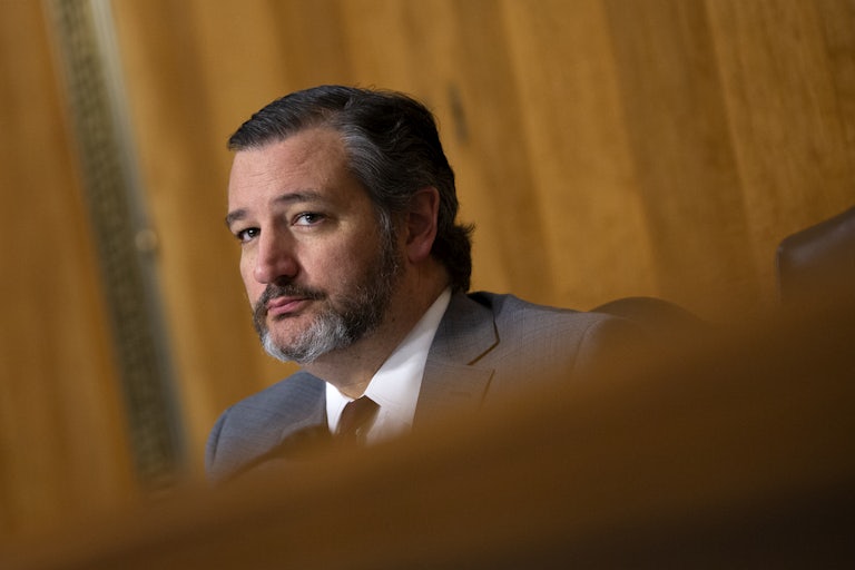 Ted Cruz looks out over the Senate committee chamber.