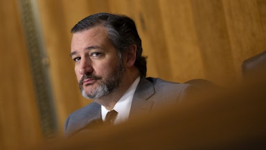 Ted Cruz looks out over the Senate committee chamber.