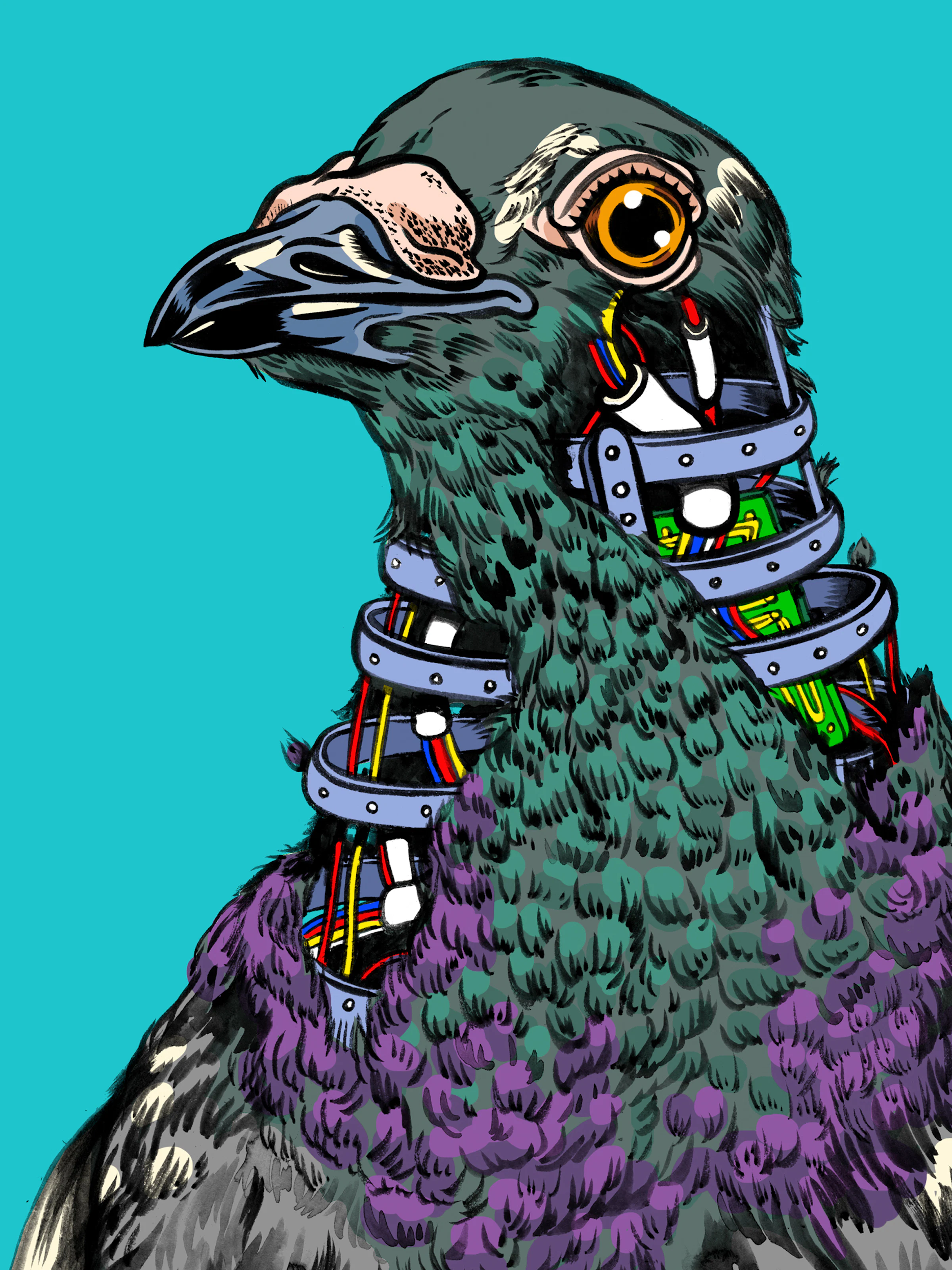 Birds Aren’t Real: The Prank That Turned Misinformation on Its Head ...