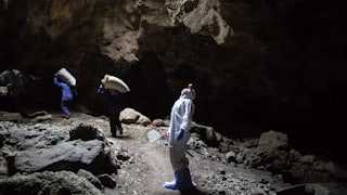 A researcher in protective gear looks up in a cave.