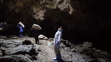A researcher in protective gear looks up in a cave.