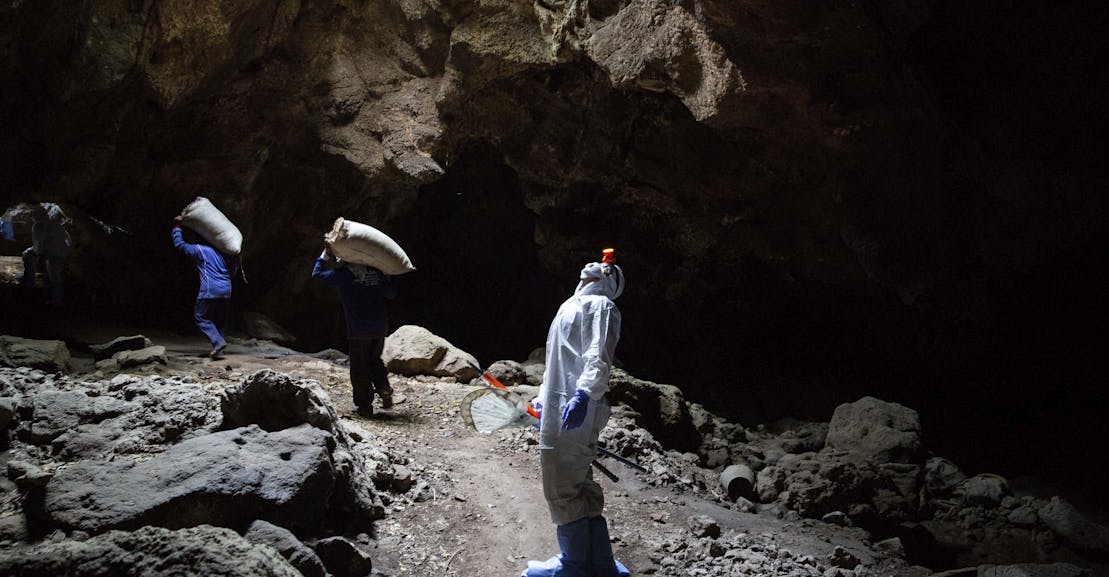 Why We’re Obsessed Once Again With Covid-19’s Origin Story Why We’re Obsessed Once Again With Covid-19’s Origin Story