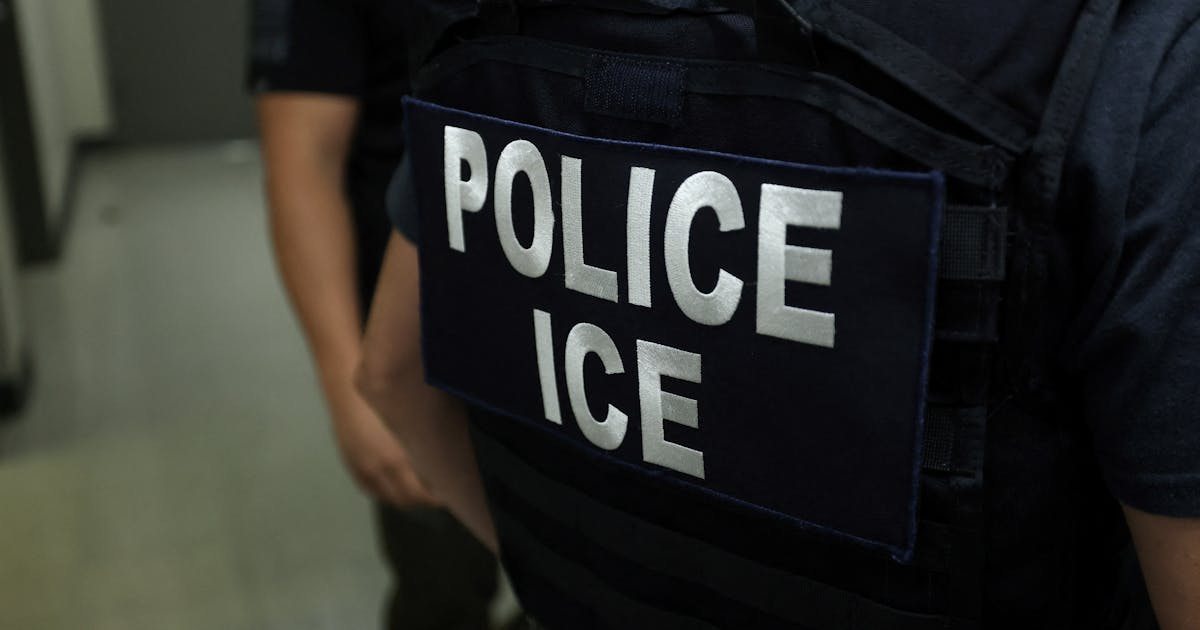 ICE Agents Released an Attack Dog on a Man: Report