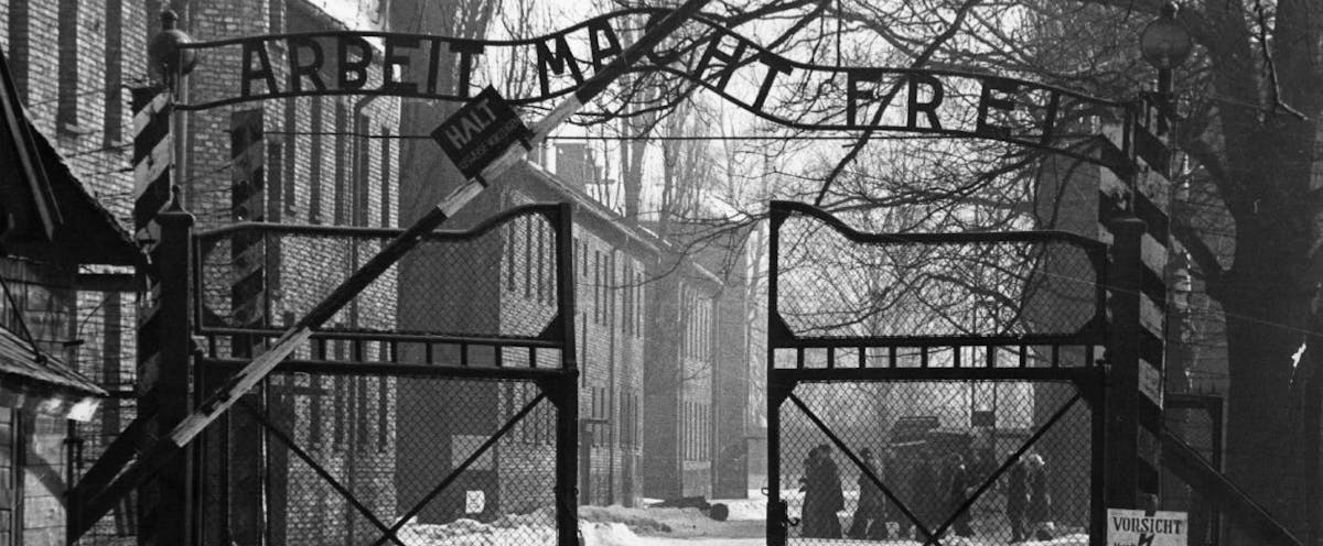 Interview with Primo Levi on Survival Auschwitz | The New Republic