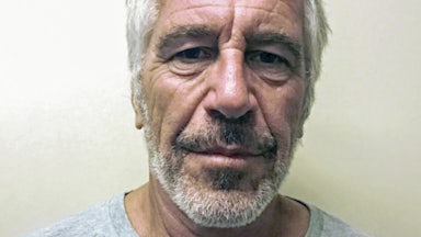 A mugshot of a bearded Jeffrey Epstein with an off-white background.