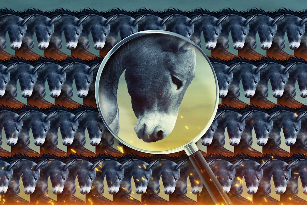An illustration of a repeating pattern of donkey heads with a magnifying glass examining one up close.