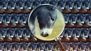 An illustration of a repeating pattern of donkey heads with a magnifying glass examining one up close.