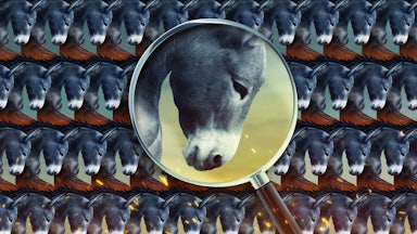An illustration of a repeating pattern of donkey heads with a magnifying glass examining one up close.