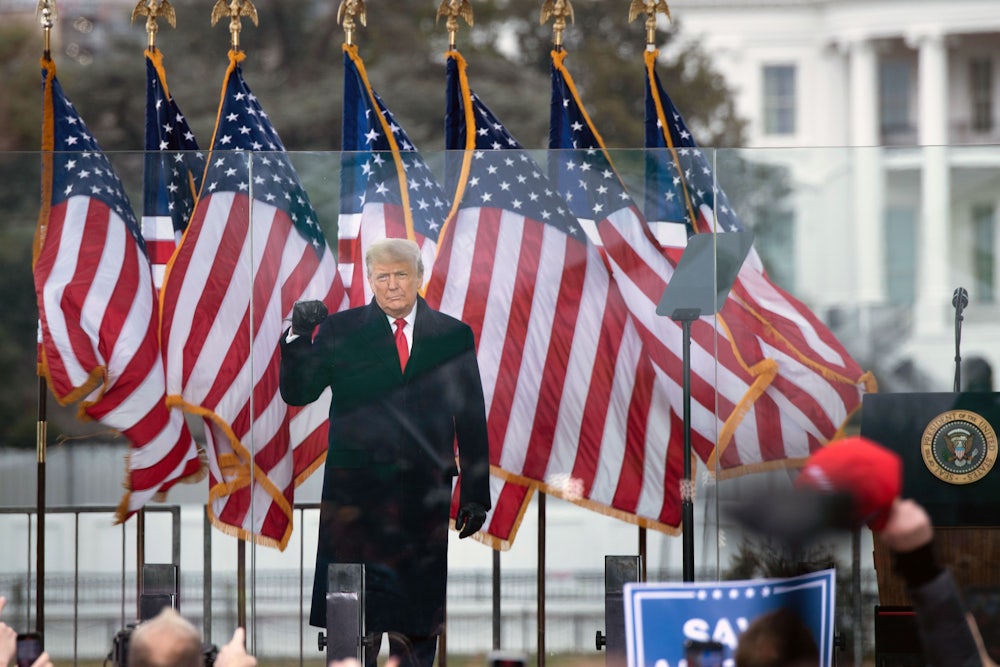 Donald Trump raises his fist at the "Stop the Steal" rally in Washington DC on January 6.
