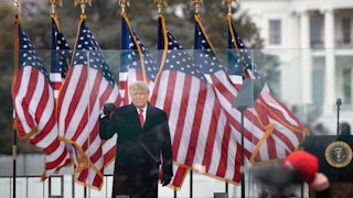 Donald Trump raises his fist at the "Stop the Steal" rally in Washington DC on January 6.