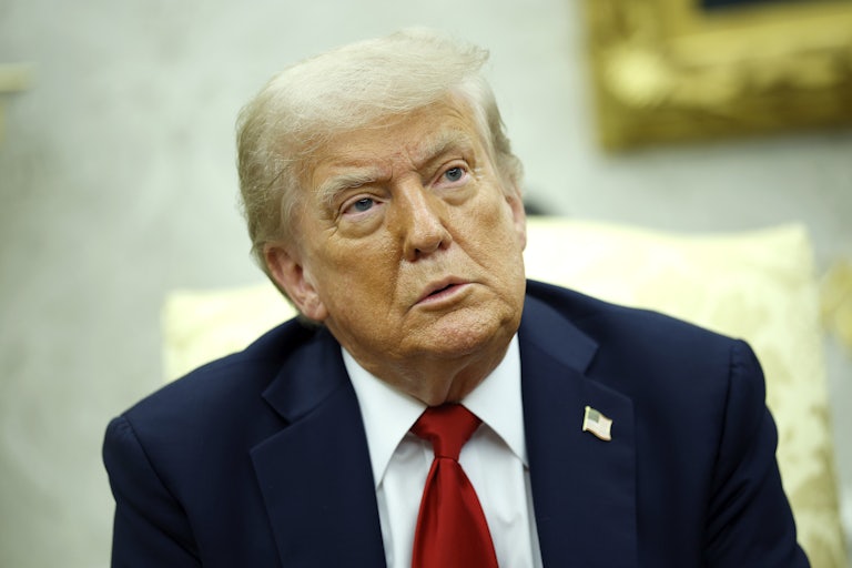 Donald Trump in the White House