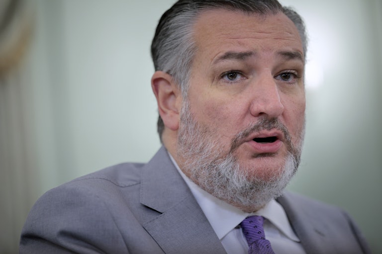 Senator Ted Cruz